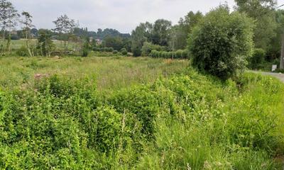 Het aan te leggen bos aan de Koeivijverstraat en de Hof ter Mullenstraat krijgt de naam Mullebos.