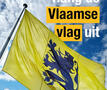 Vlag
